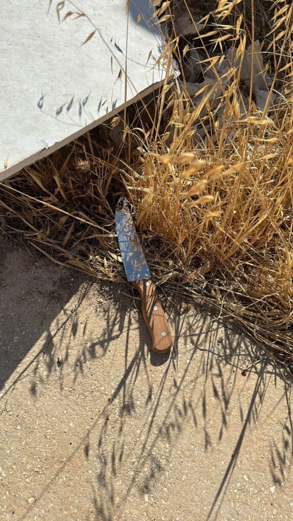 Following attempted attack near Hanania Farm: Terrorist with knife tried to stab civilians